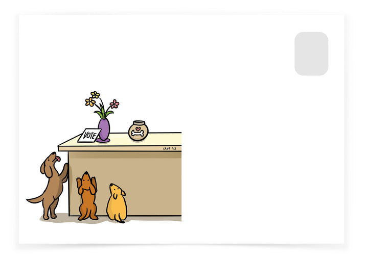 Volunteer Carolyn VanEseltine - Dogs