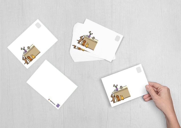 Volunteer Carolyn VanEseltine - Dogs