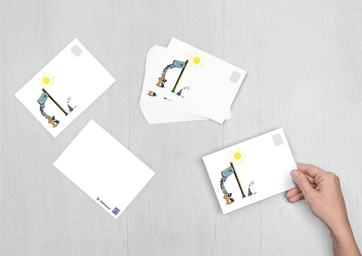 Volunteer Carolyn VanEseltine - Cats