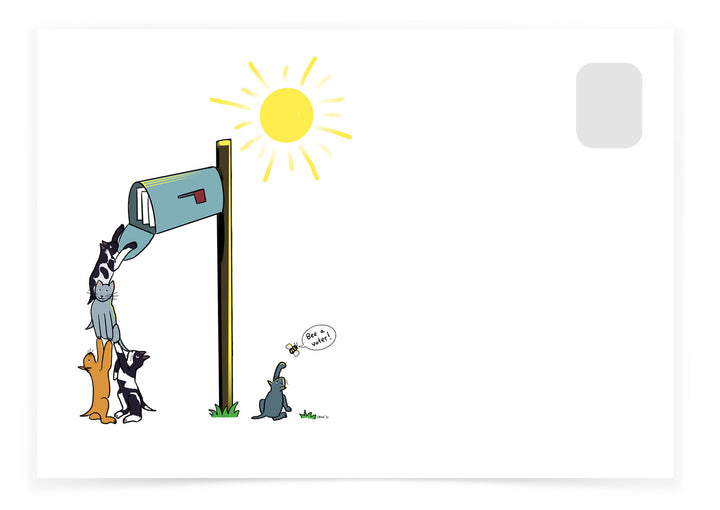 Volunteer Carolyn VanEseltine - Cats